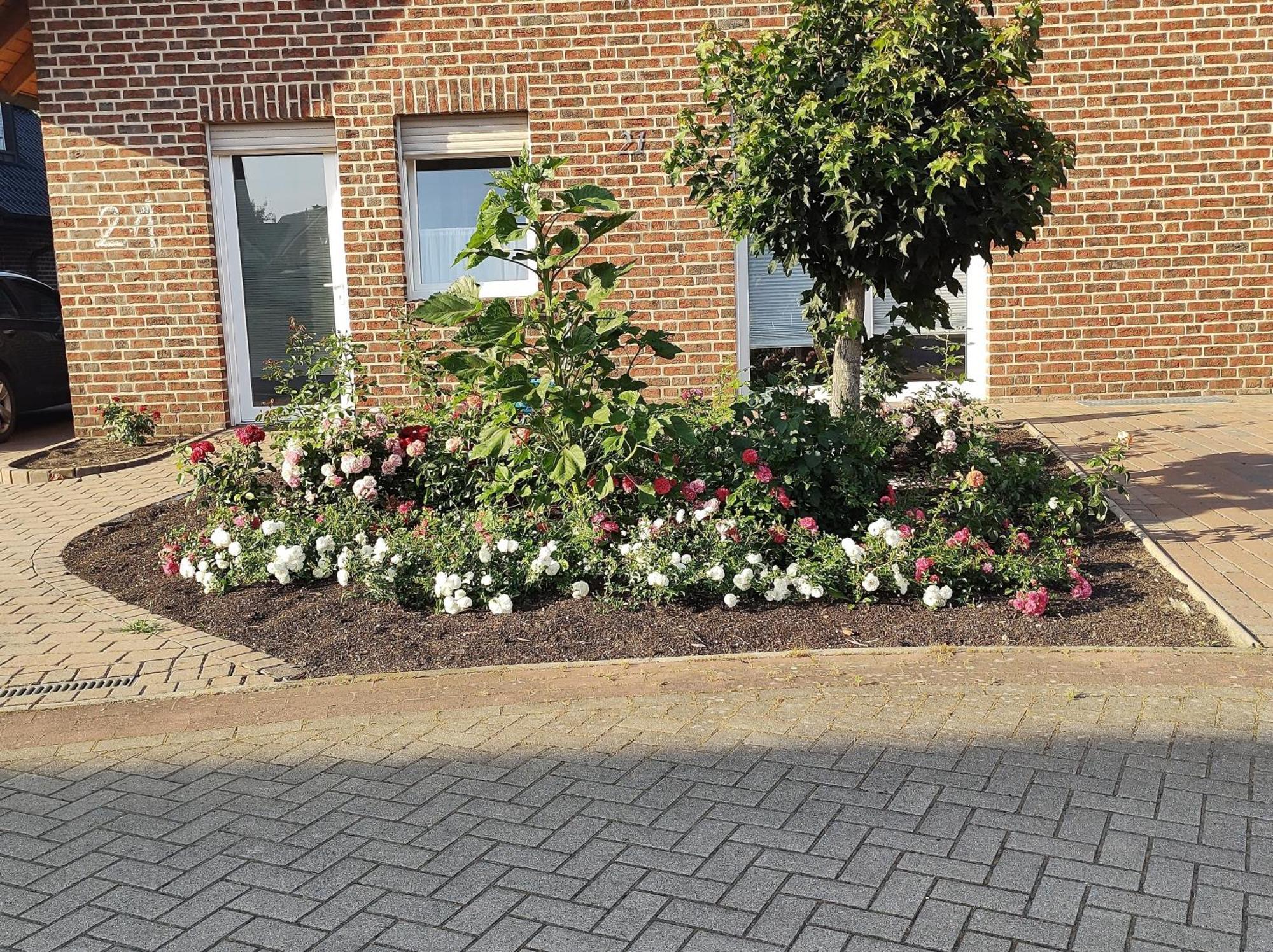 Fewo Holunderbusch Saerbeck Exteriér fotografie